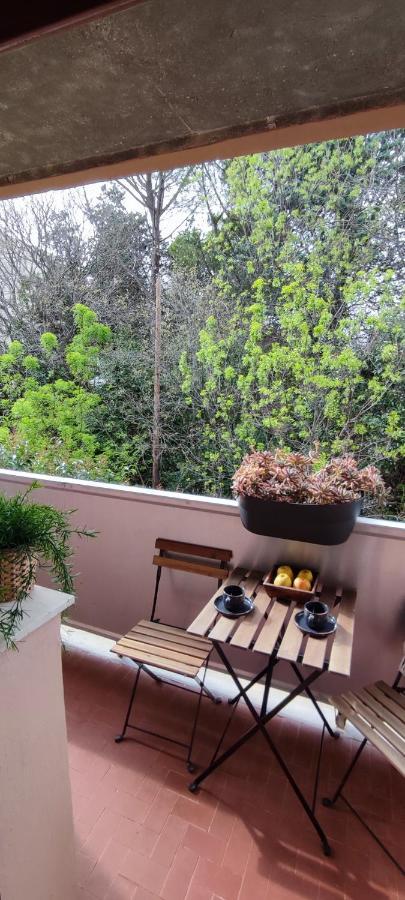Michelet Studio Climatise Avec Balcon Et Parking Ferme Montpellier Extérieur photo